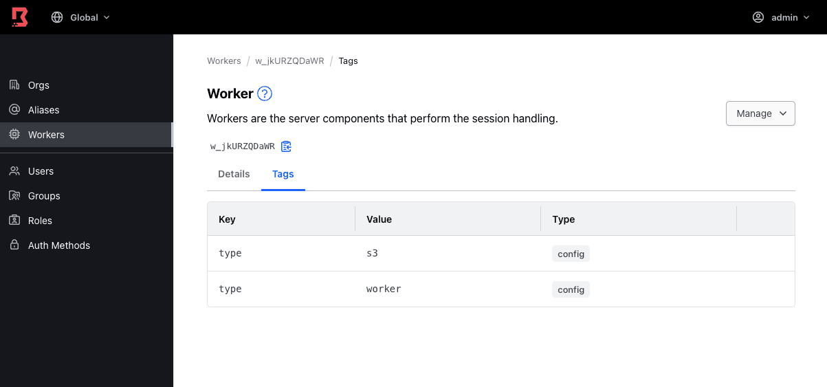 Worker Config Tags in Boundary Admin UI